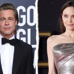 brad pitt has accused angelina jolie of trying to damage him by